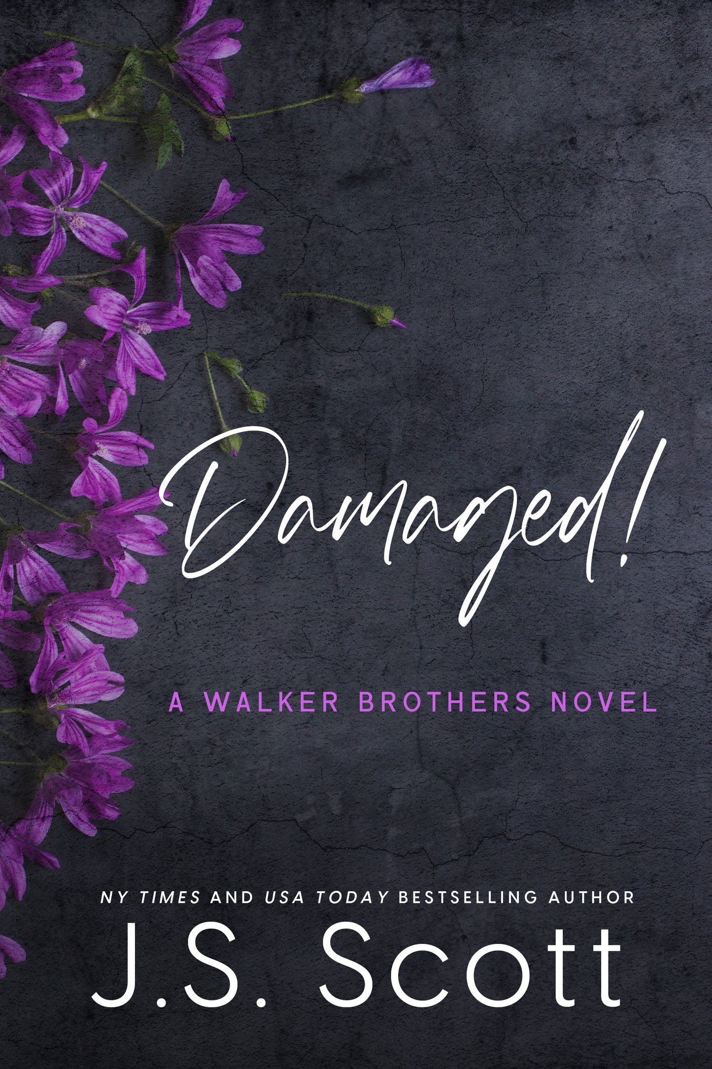 Damaged!: A Walker Brothers Novel (The Walker Brothers Book 3)